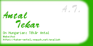 antal tekar business card